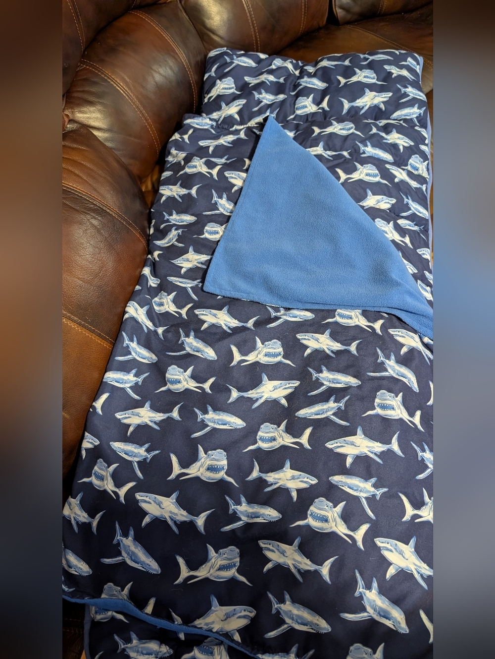 Pottery Barn Kids Mackenzie Shark Nap Mat